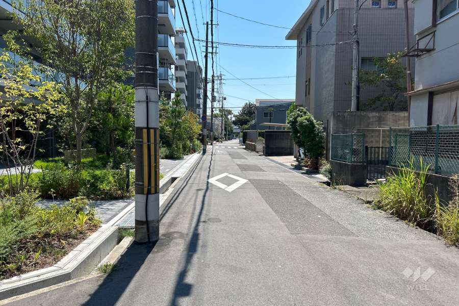 敷地西側の前面道路（北側から）