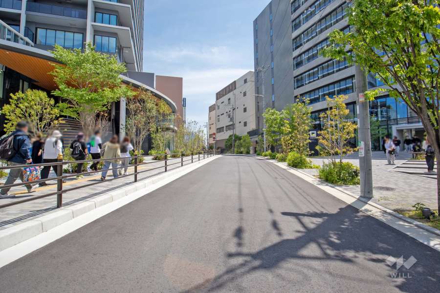 敷地南西側の前面道路（北側から）