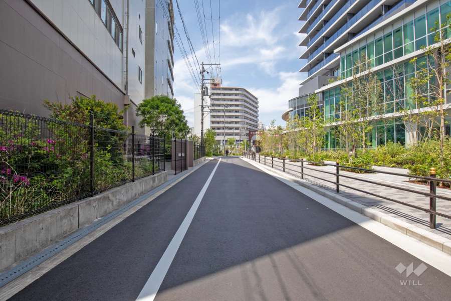 敷地南西側の前面道路（南側から）