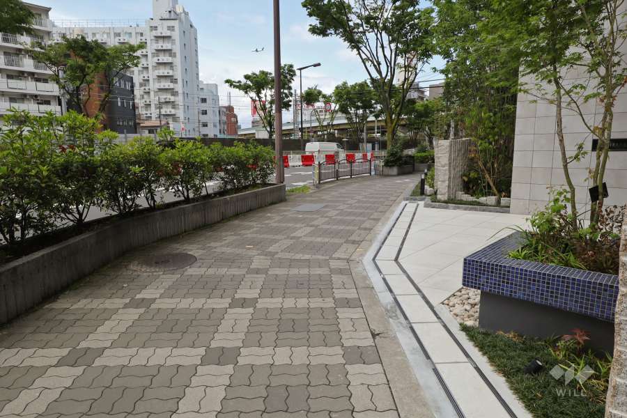 敷地北西側の前面道路（南西側から）