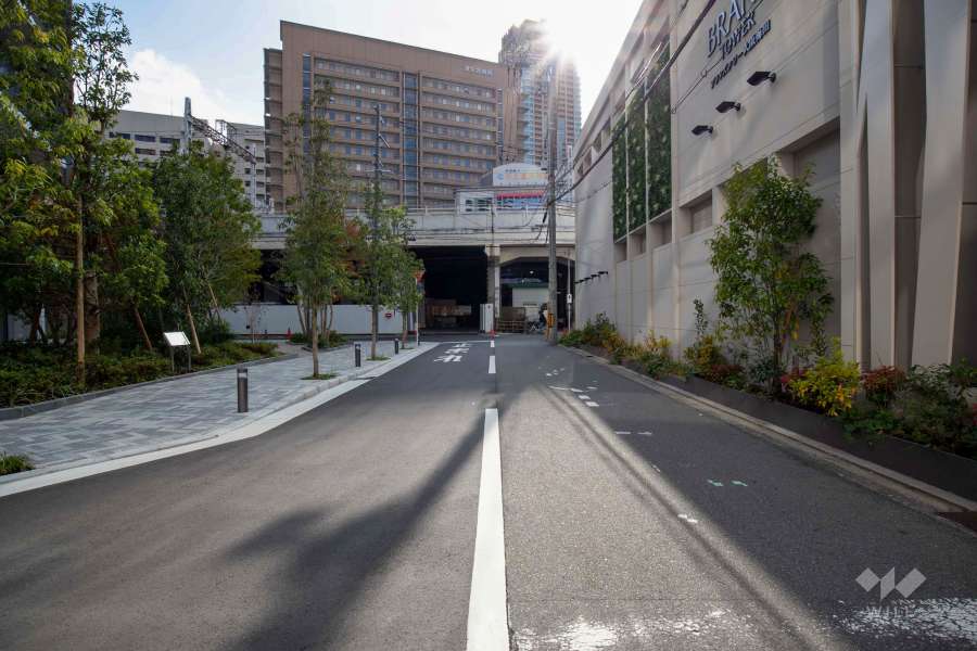 敷地西側の前面道路（北側から）