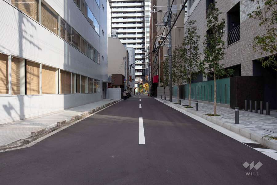 敷地北側の前面道路（西側から）