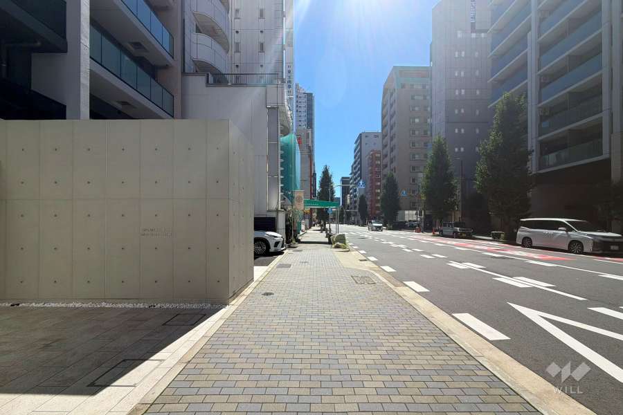 敷地西側の前面道路(北側から)