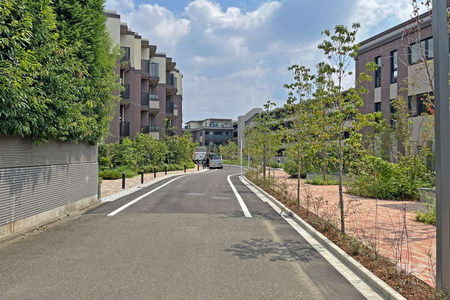 敷地の南側前面道路（西側から）