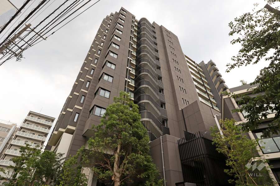 ザ・パークハウス板橋大山大楠ノ杜の外観（東側から）