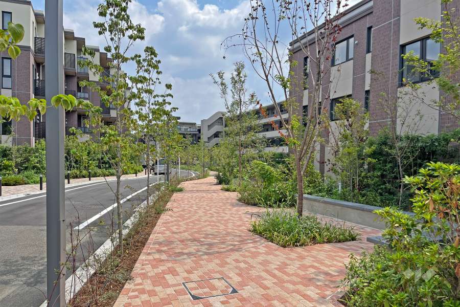 敷地内の遊歩道