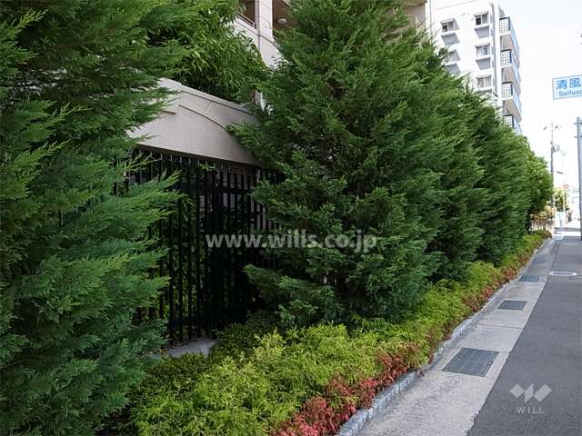 敷地東側に植栽スペースが設けられています。