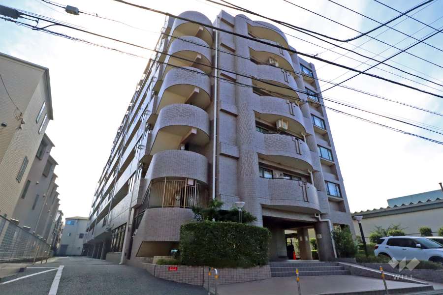 ナイスアーバン新川崎の外観（北東側から）