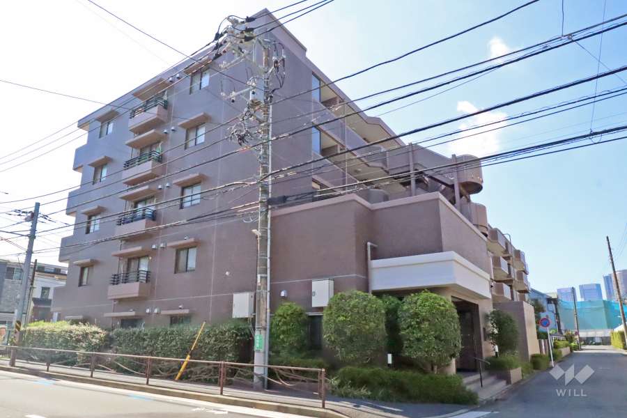 コスモ新川崎の外観(東側から)