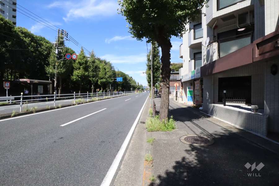 敷地南西側の前面道路(南東側から)