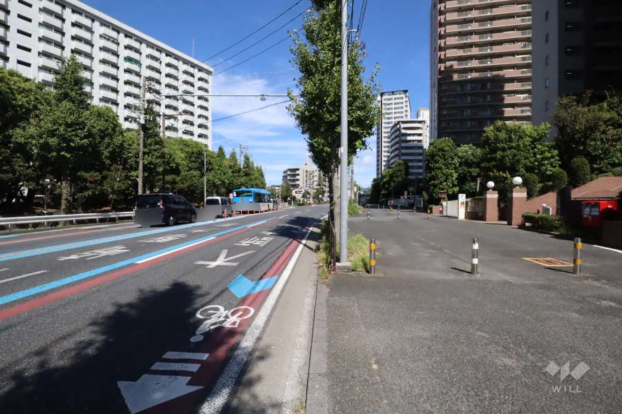 敷地東側の前面道路(南側から)