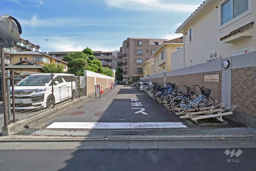 敷地入り口（西側）