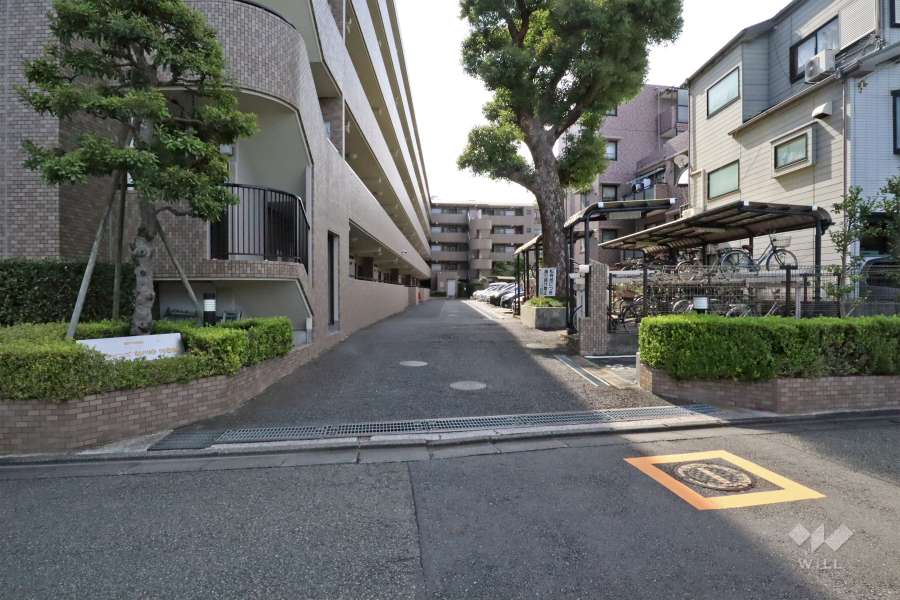 敷地入り口（北側）