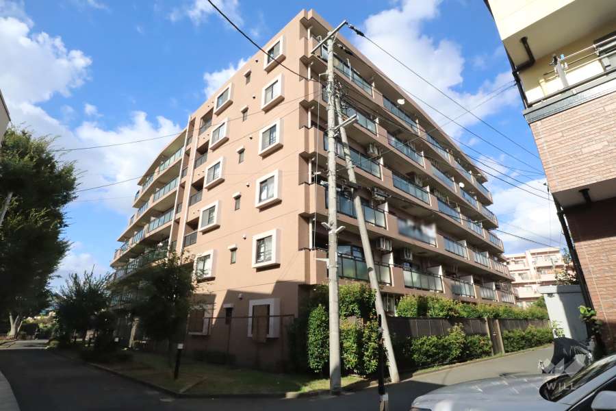 ナイスアーバン新川崎ステイツの外観(南西側から)