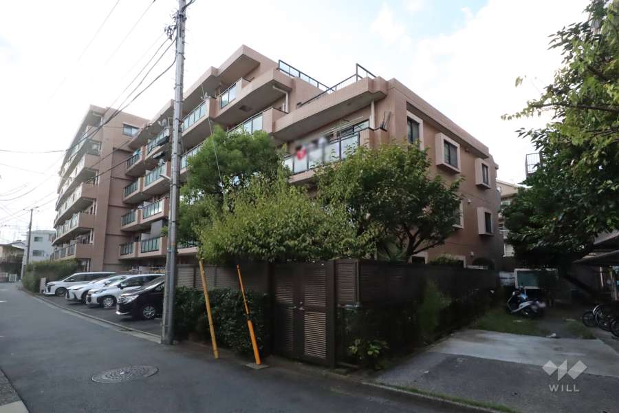 ナイスアーバン新川崎ステイツの外観(南東側から)