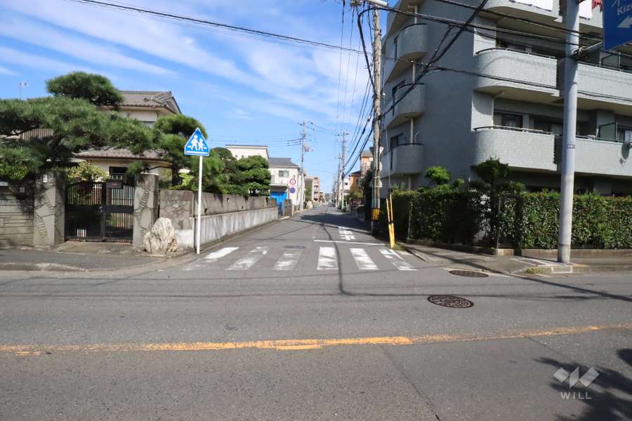敷地西側の前面道路(南側から)