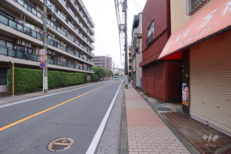 敷地南側の前面道路（西側から）