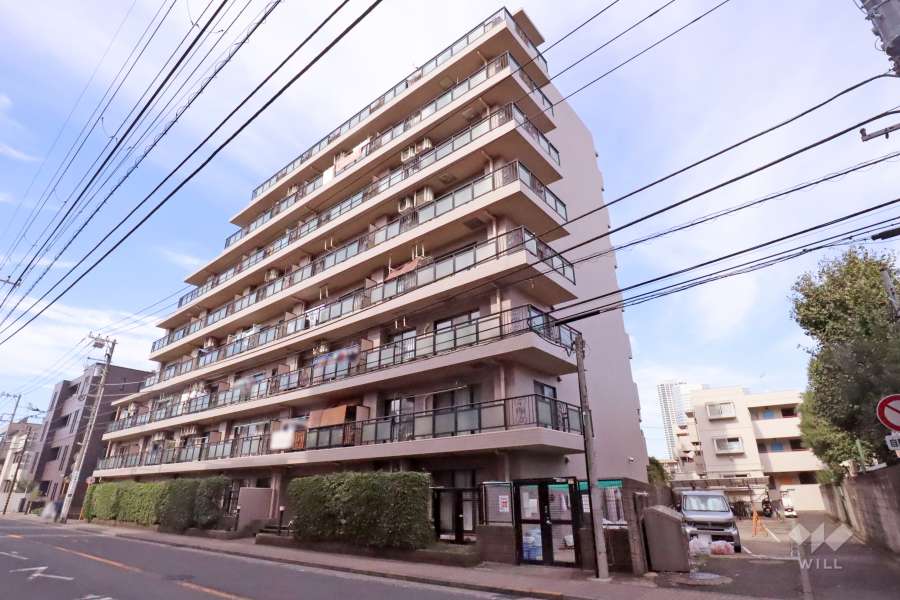 マイキャッスル新川崎の外観(南東側から)