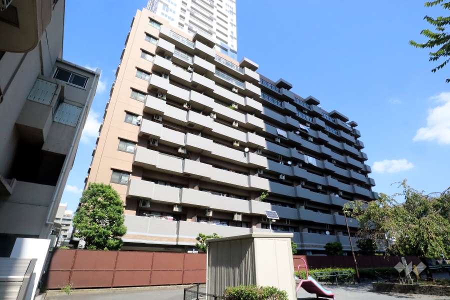 ナイスアーバンステイツ川崎の外観(南西側から)