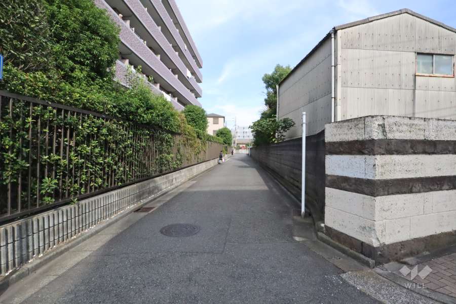 敷地南東側の前面道路　