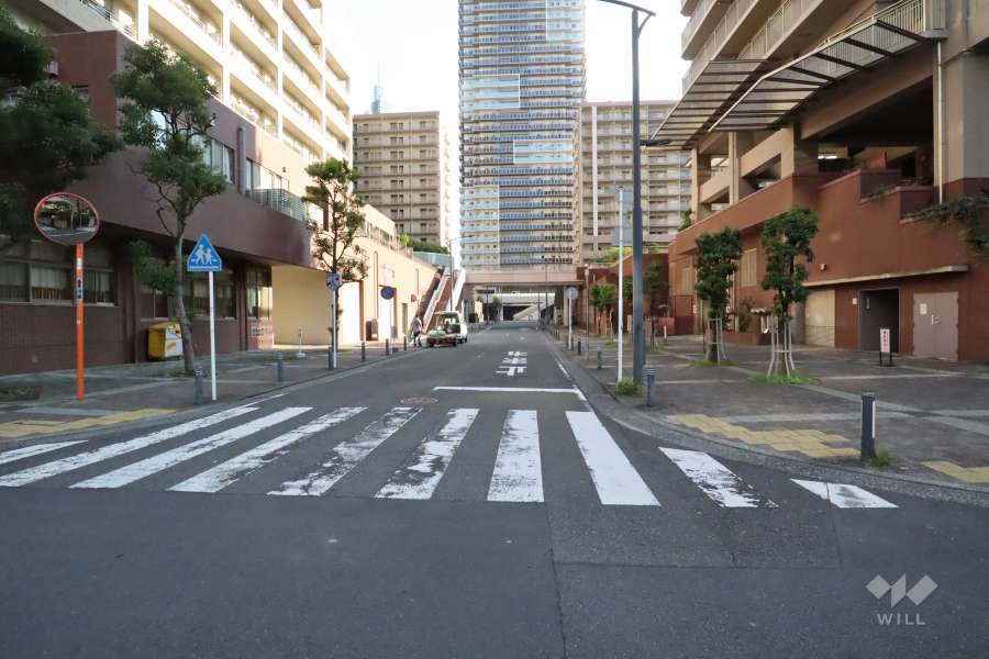 敷地東側の前面道路　