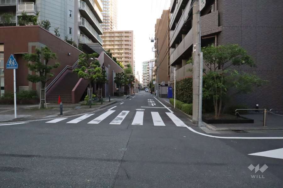 敷地西側の前面道路　
