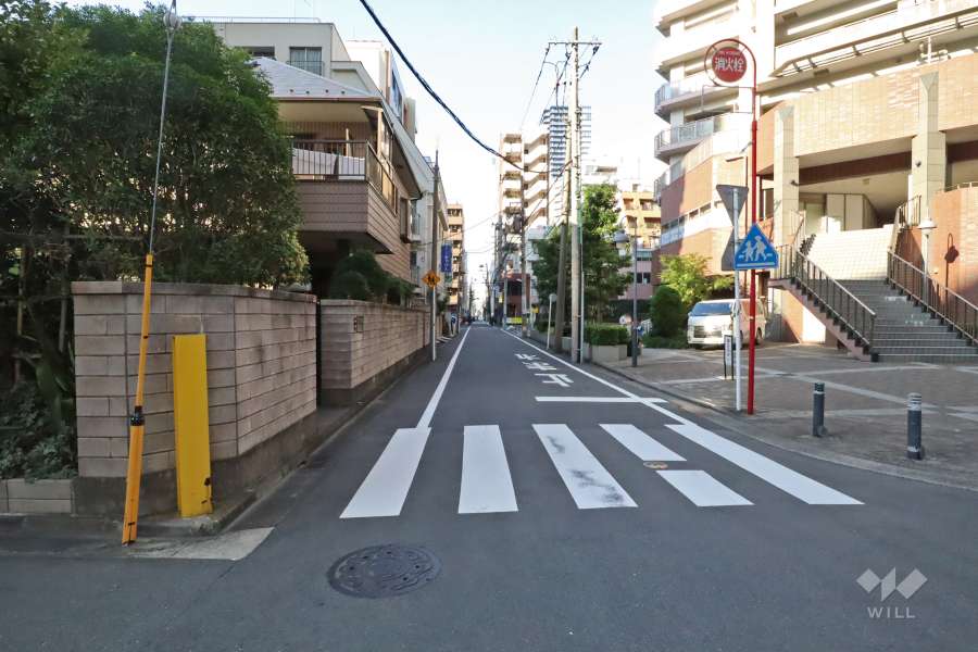 敷地西側の前面道路（南側から）