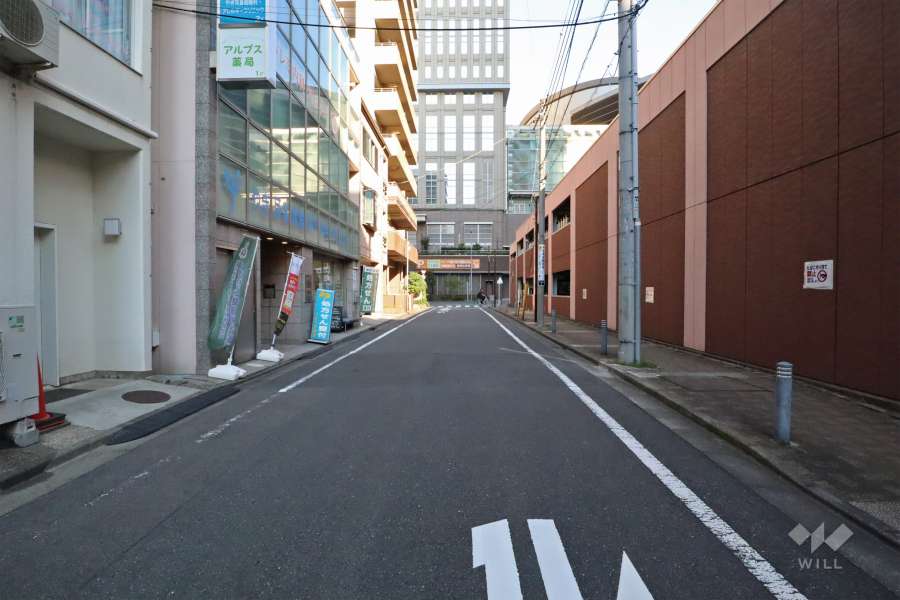 敷地北側の前面道路（西側から）
