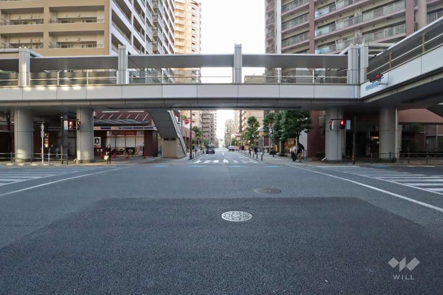 敷地南側の前面道路（東側から）