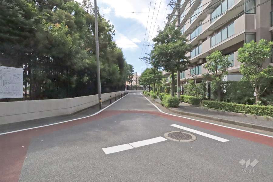 敷地南東側の前面道路(側から)