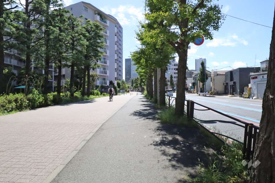 敷地南西側の前面道路（北西側から）