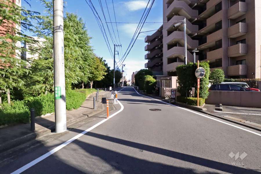 敷地南西側の前面道路(北西側から)