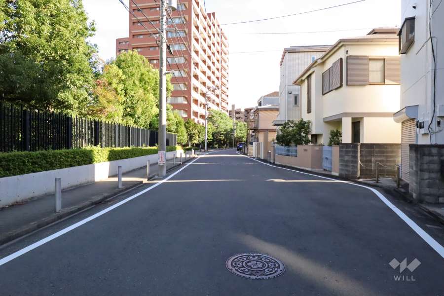 敷地西側の前面道路(北側から)