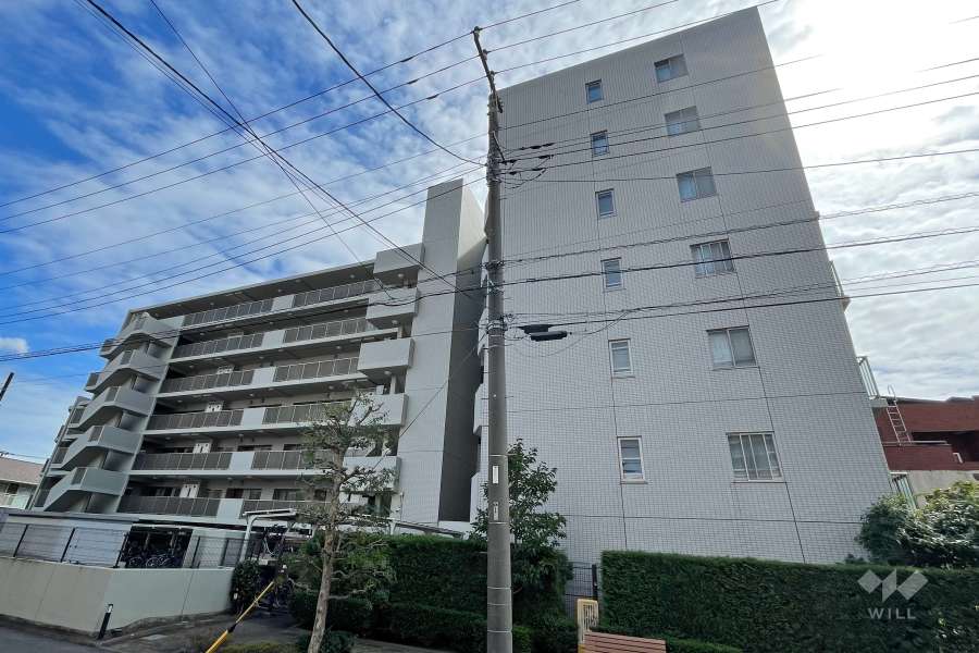 グランシーナ新川崎コンフォートステージの外観（西側から）