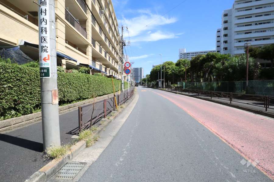 敷地南側の前面道路（西側から）