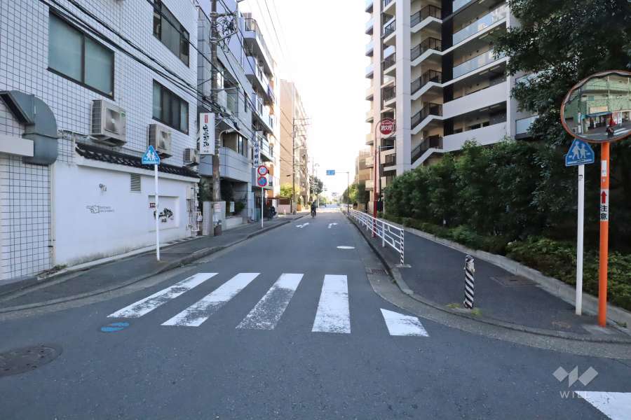 敷地西側の前面道路(北側から)