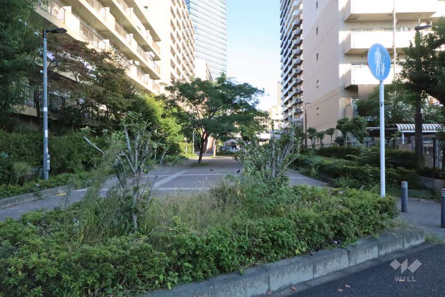 敷地南側の前面通路(西側から)