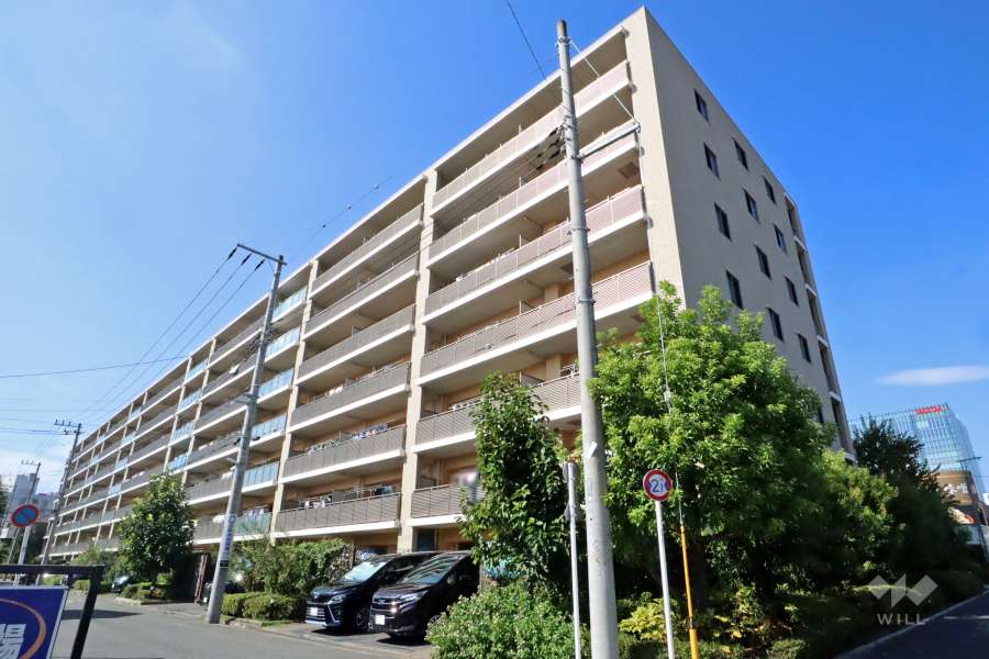 ルセナ川崎の外観（南側から）