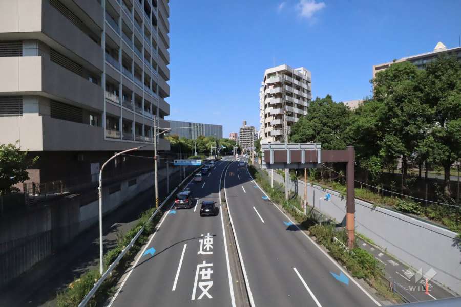 敷地南西側の前面道路　