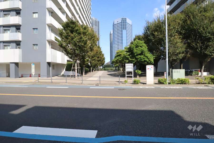 敷地北側の前面道路　