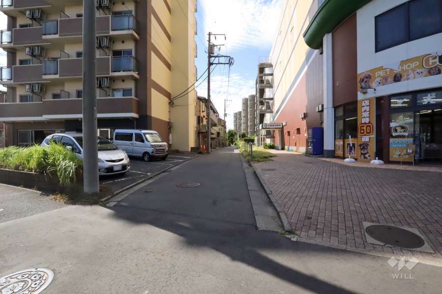 敷地北側の前面道路(東側から)