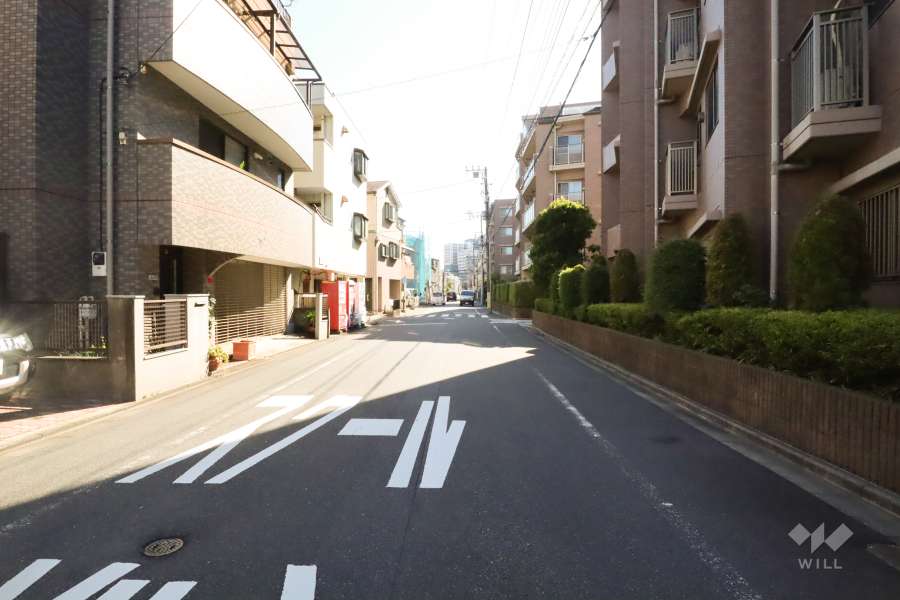 敷地南東側の前面道路(北東側から)