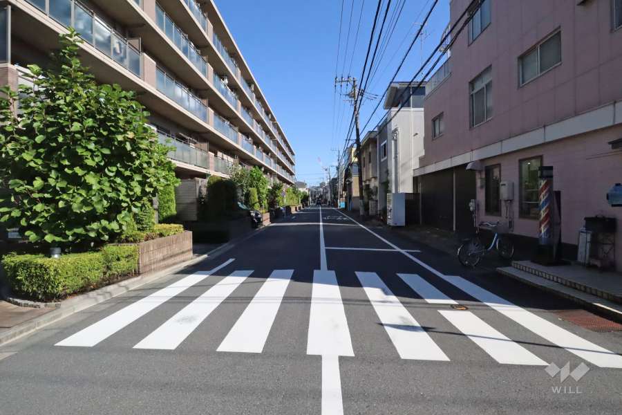 敷地南西側の前面道路(北西側から)