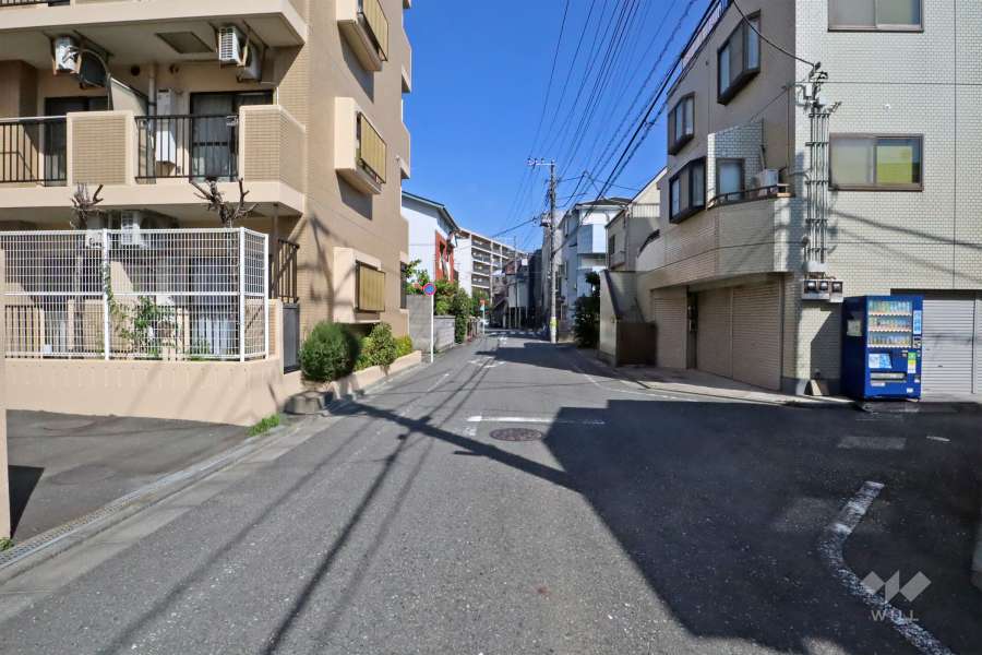 敷地南側の前面道路(西側から)