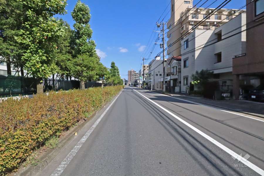 敷地北側の前面道路は小向元通りです(西側から)。