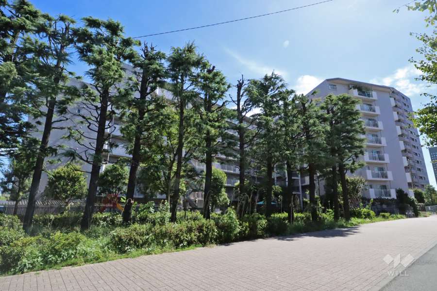 多摩川サンハイツの外観（北西側から）
