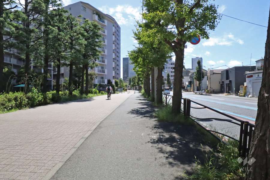 敷地西側の前面道路（北側から）