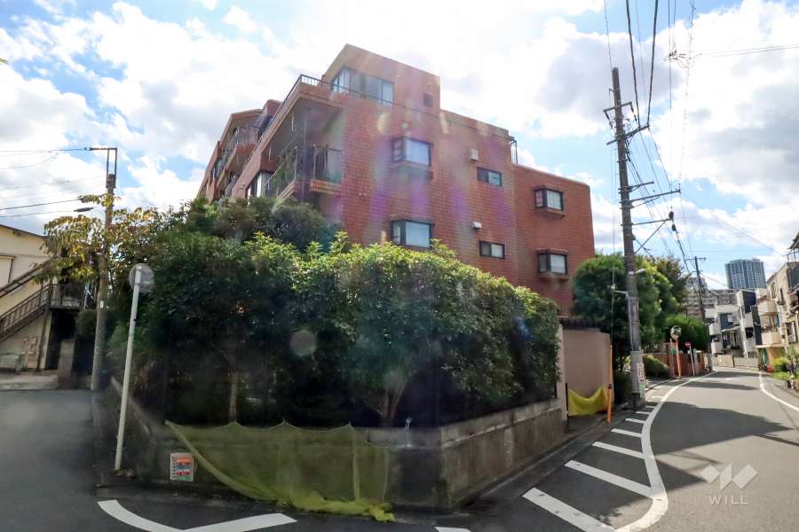 新川崎グランドハイツの外観(北東側から)