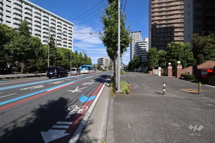 敷地西側の前面道路(南側から)