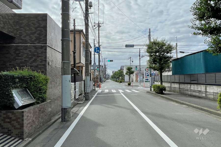 敷地西側の前面道路（北側から）